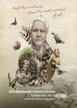 Дэвид Аттенборо. Курьезы природного мира — David Attenborough’s. Natural Curiosities (2012)